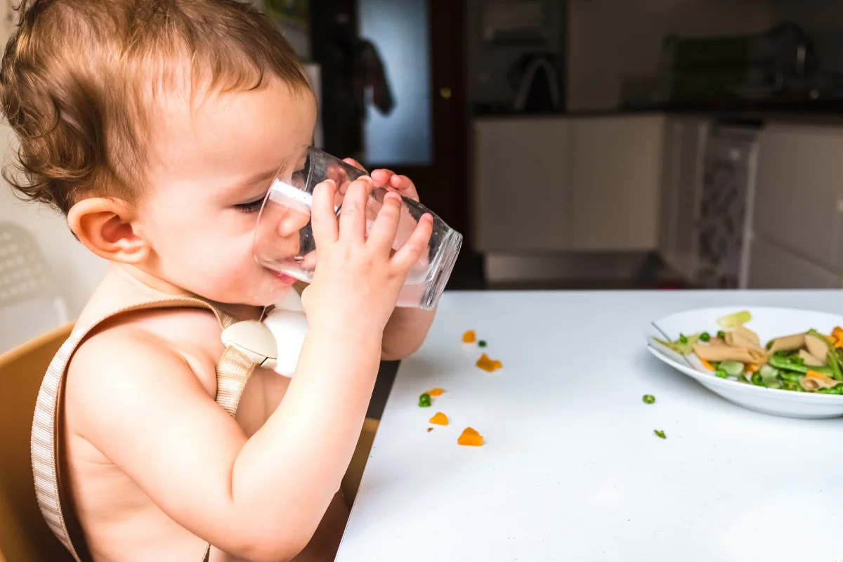Nutrição Infantil – Receitas Criativas e Saudáveis para Bebês